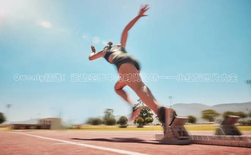 B体育官方入口APP