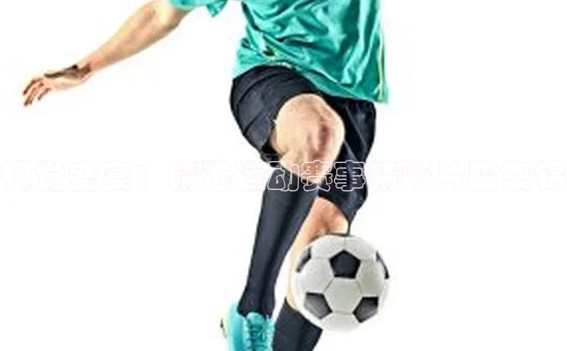 B·体育APP登录入口