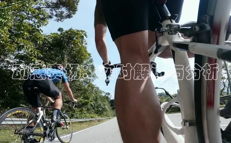 b·体育(中国)官方网站