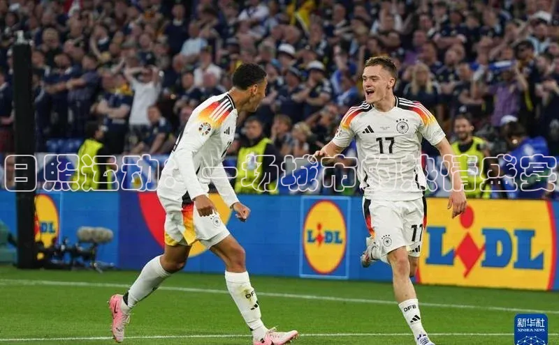 bsport体育最新官网入口