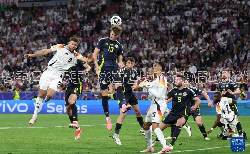 B体育手机网页版登录